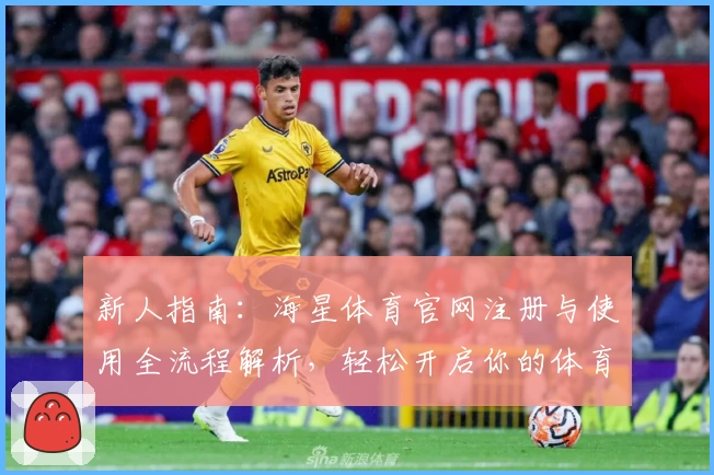 新人指南：海星体育官网注册与使用全流程解析，轻松开启你的体育之旅