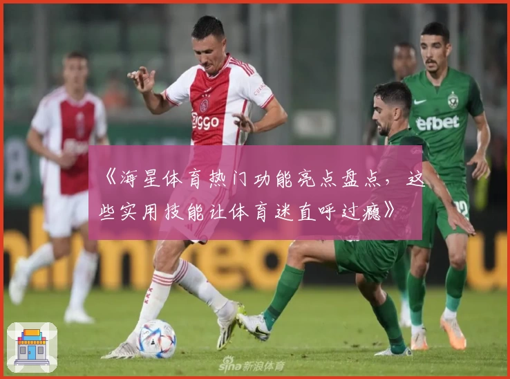 《海星体育热门功能亮点盘点，这些实用技能让体育迷直呼过瘾》