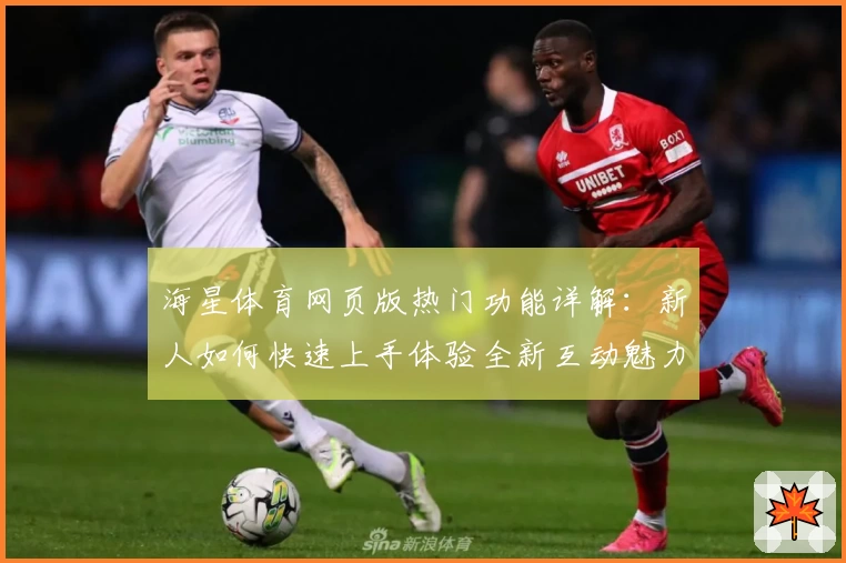 海星体育网页版热门功能详解：新人如何快速上手体验全新互动魅力