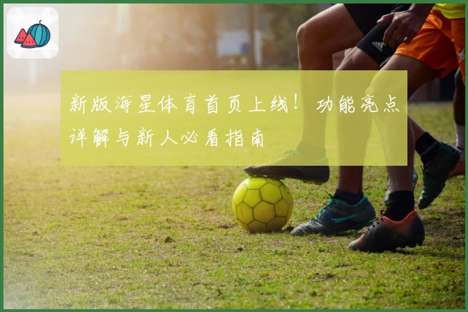 新版海星体育首页上线！功能亮点详解与新人必看指南