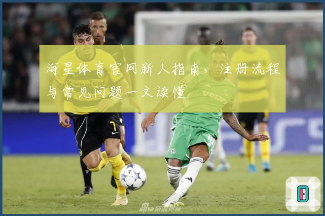 海星体育官网新人指南，注册流程与常见问题一文读懂