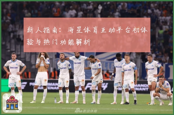 新人指南：海星体育互动平台初体验与热门功能解析