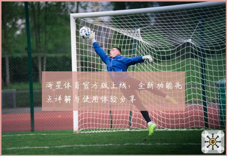 海星体育官方版上线,全新功能亮点详解与使用体验分享